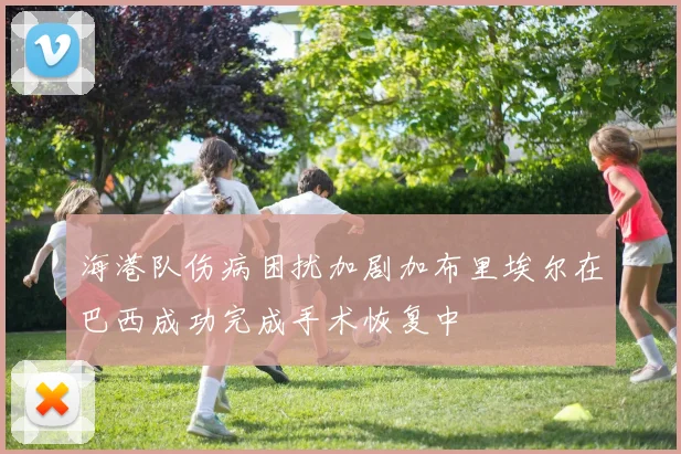 海港队伤病困扰加剧加布里埃尔在巴西成功完成手术恢复中